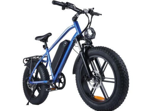 Fat E-Bike