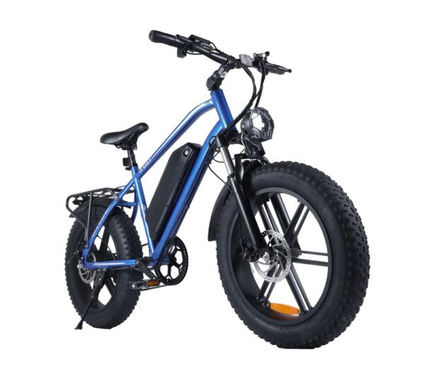 Fat E-Bike